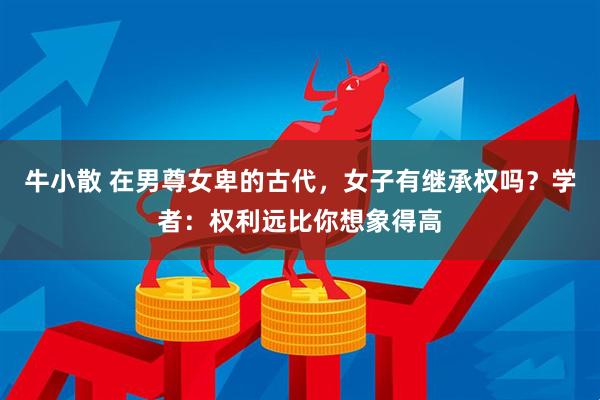 牛小散 在男尊女卑的古代，女子有继承权吗？学者：权利远比你想象得高