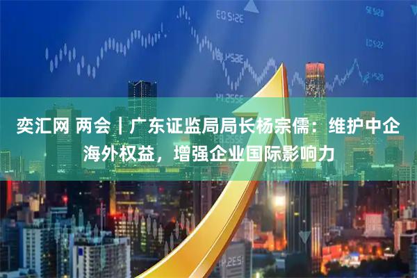 奕汇网 两会｜广东证监局局长杨宗儒：维护中企海外权益，增强企业国际影响力