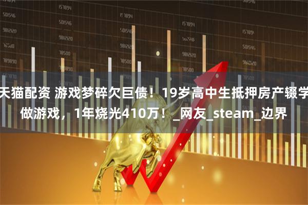 天猫配资 游戏梦碎欠巨债！19岁高中生抵押房产辍学做游戏，1年烧光410万！_网友_steam_边界
