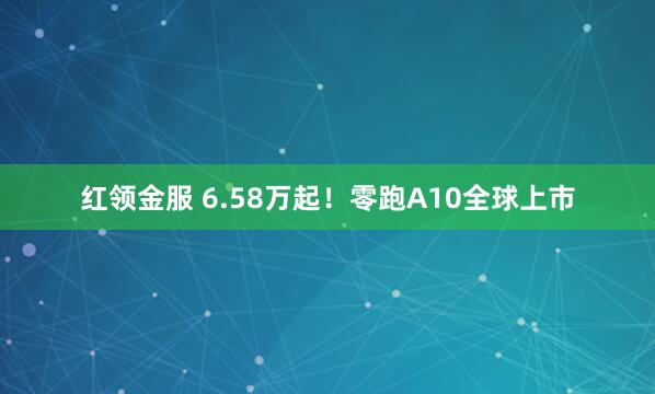 红领金服 6.58万起！零跑A10全球上市