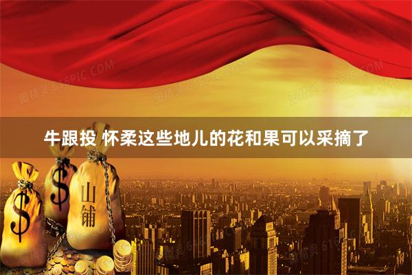 牛跟投 怀柔这些地儿的花和果可以采摘了